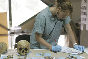 Anthropologist2.jpg