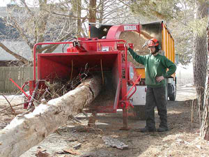 Arborist2.jpg