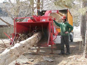 Arborist2.jpg