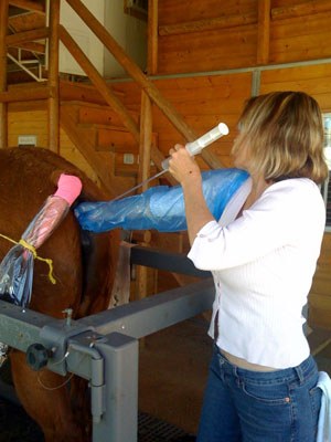 Artificial-Insemination.jpg
