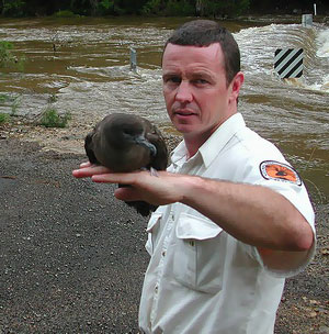 Australian_Ranger2.jpg