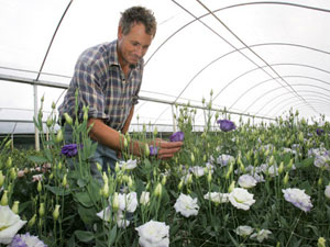 Flower-Grower.jpg