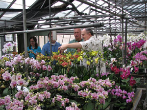 Flower-Grower2.jpg
