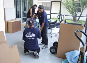 Furniture_Packer.jpg