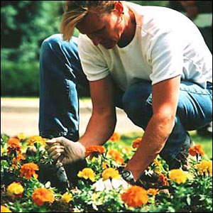 Gardener2.jpg