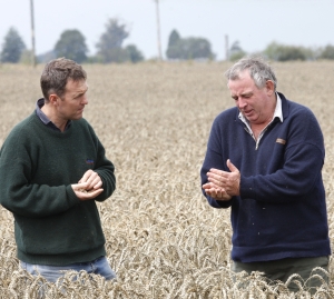 Grain and Seed Agent.jpg