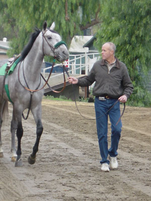 Horsetrainer2.jpg
