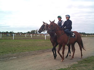 Horsetrainer3.jpg Horsetrainer3.jpg