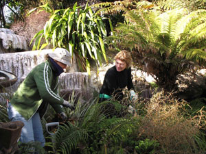 Landscape-Gardener.jpg