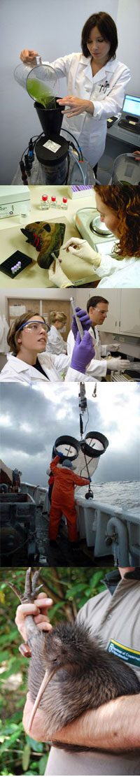 LifeSciencesstrip.jpg