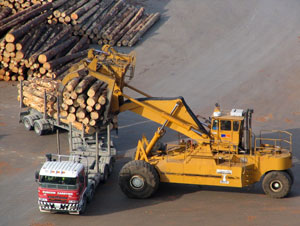 Logging_tr.jpg