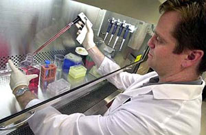 Molecular-Biologist2.jpg Molecular-Biologist2.jpg