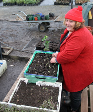 Nursery-Grower4.jpg