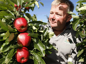 Orchard-Manager.jpg