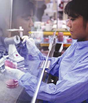 Pathologist.jpg Pathologist.jpg