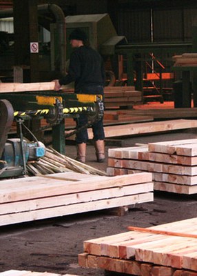 Sawmill_managers.jpg