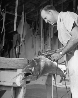 Taxidermist2.jpg