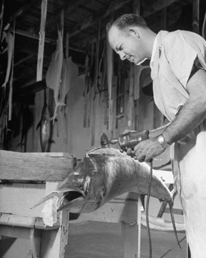 Taxidermist2.jpg
