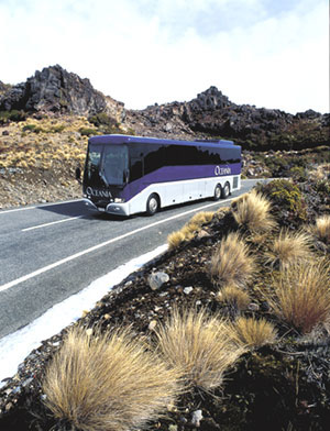 Tour-Coach-Driver.jpg