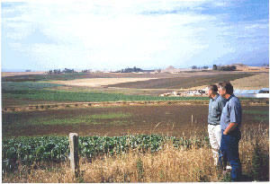 Vegetable-Farm.jpg