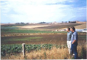 Vegetable-Farm.jpg