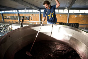 Winemaker3.jpg null