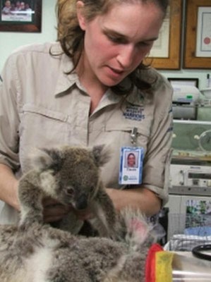 australian_zoo.jpg
