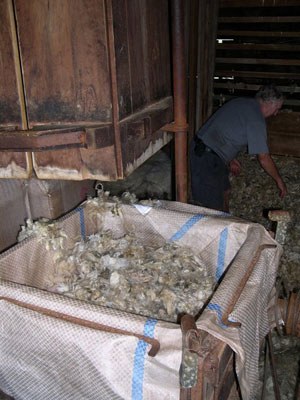 baling-wool.jpg