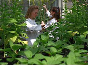 botanists.jpg