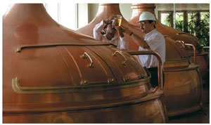 brewer.jpg null