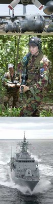 defencestrip.jpg