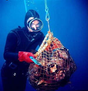 diver2.jpg