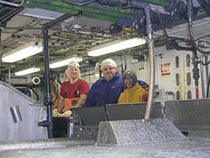 factory.jpg