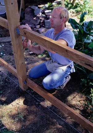 fenceb.jpg fenceb.jpg