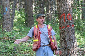 forest-manager1.jpg forest-manager1.jpg