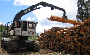 forestharvman3.jpg null