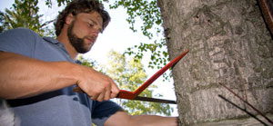 forestry-1.jpg forestry-1.jpg