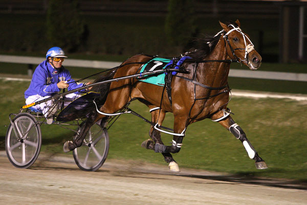 harness_rider2.jpg harness_rider2.jpg