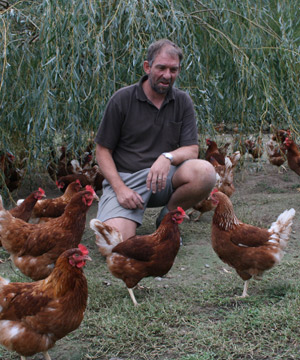 unusual chickens for the exceptional poultry farmer