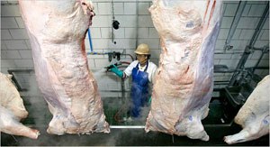 meatpro.jpg
