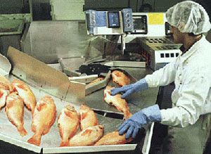 seafoodprocessing.jpg