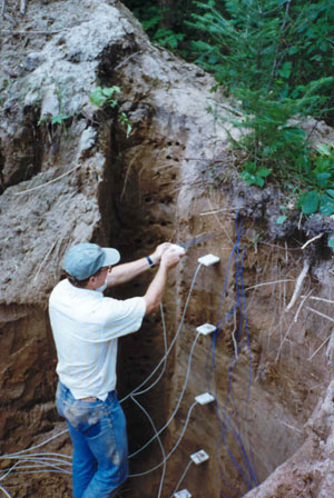 soil.jpg