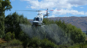 spraying4.jpg