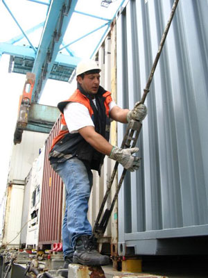 stevedore2.jpg