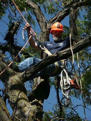 Arborist.jpg