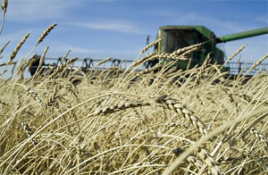 CropFarmer2.jpg