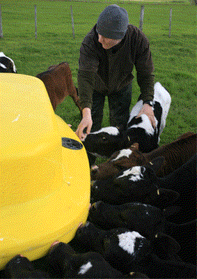 Destination_Dairy.gif