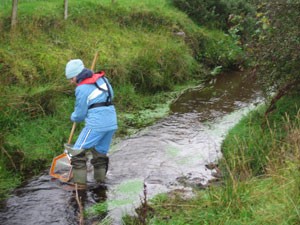 EnvironmentalScientist2.jpg