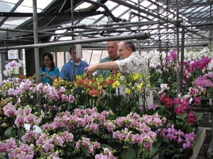 Flower-Grower2.jpg