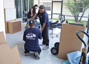 Furniture_Packer.jpg